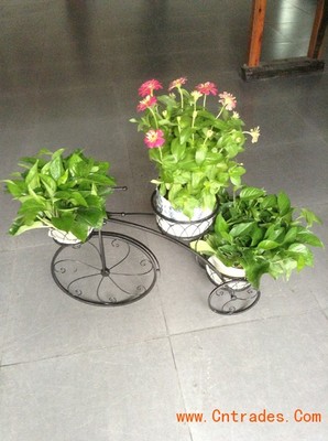 客家園藝 專(zhuān)業(yè)室內(nèi)花木租擺，綠化植物租賃首選