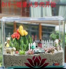 上海清繪園藝養護服務 以專業匠心，守護城市綠意之美